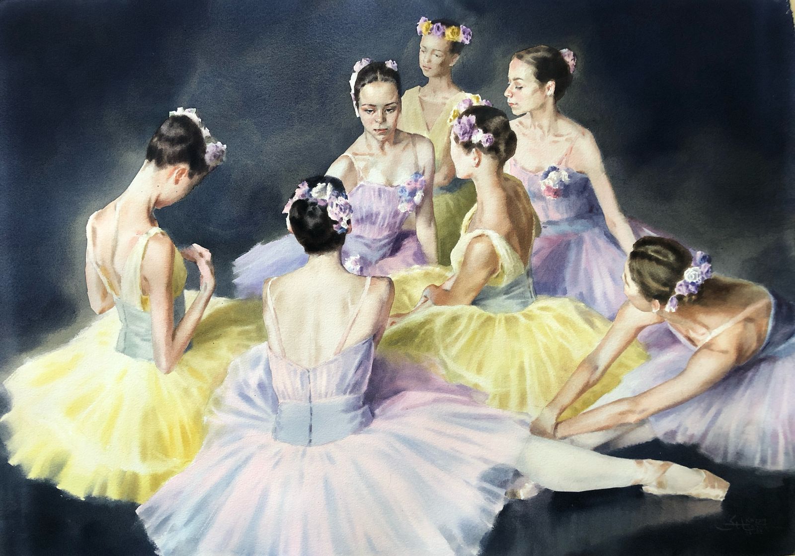 Costume, ballerinas & animals