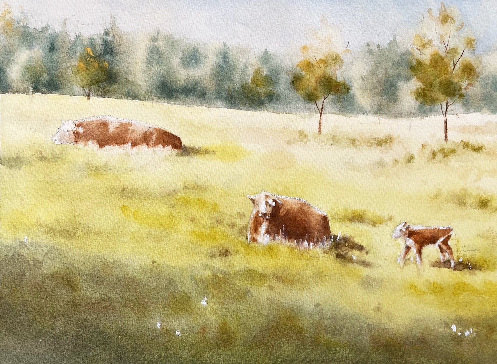 The Meadow